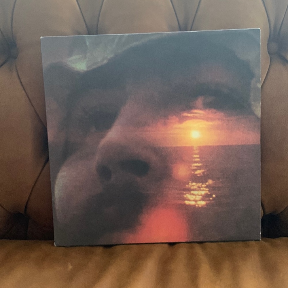 David Crosby If I Could Only Remember My Name 1971